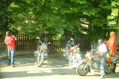 DSC_7716 (Large).JPG